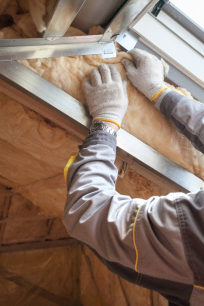 Best Specialty Insulation in Long Branch, VA