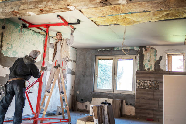 Best Residential Insulation in Long Branch, VA