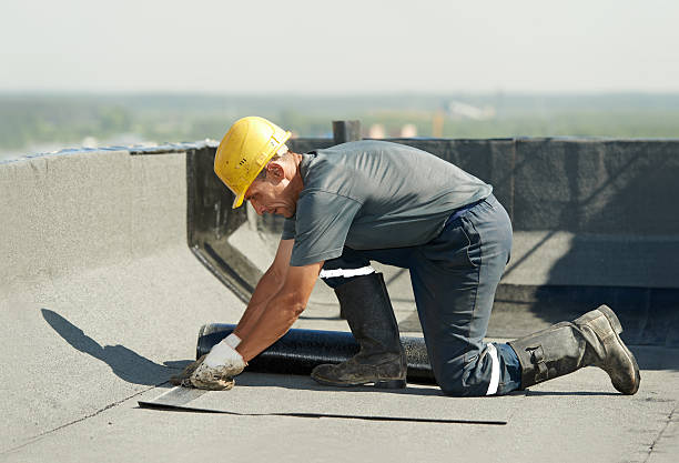 Best Residential Insulation in Long Branch, VA
